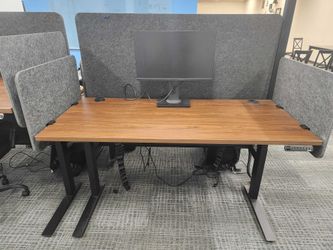 JARVIS ELECTRIC STANDING DESKS - 60" x 27" WALNUT - 30 AVAILABLE