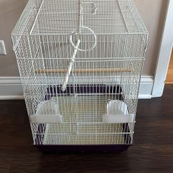 Bird Cage 