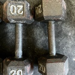 20lb Dumbbells