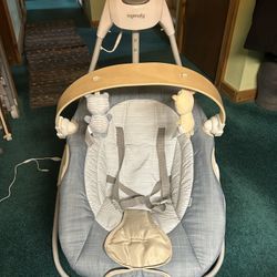 Ingenuity Baby Swing 