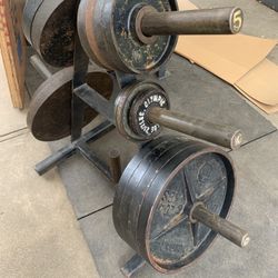 Set of olympic weights deepdish with weight tree