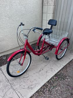 Adult Tricycle