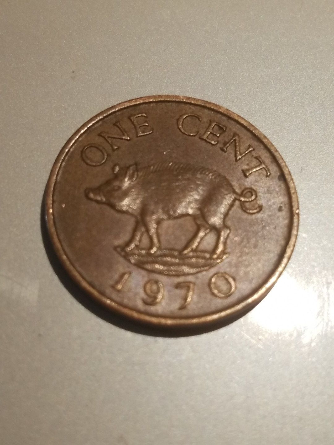 Rare BERMUDA BOAR HEAD CENT !