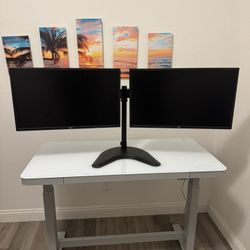 Dell Dual Monitor w/ Standing Adjustable Mount