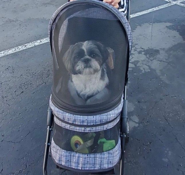 Pet Dog Cat Stroller - Please read Description