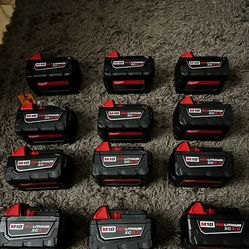 Milwaukee 5.0  Batterys (12Pack)