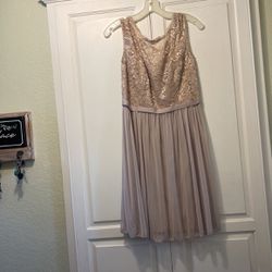 Prom / Wedding Guest Dress