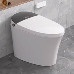 Brand New Intelligent Smart Toilet 