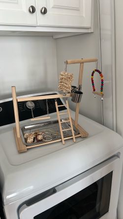 Bird Play Ground