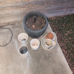 FREE Plants Pots 