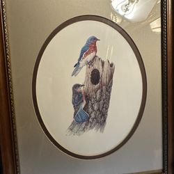 Vintage Bird Art Prints 