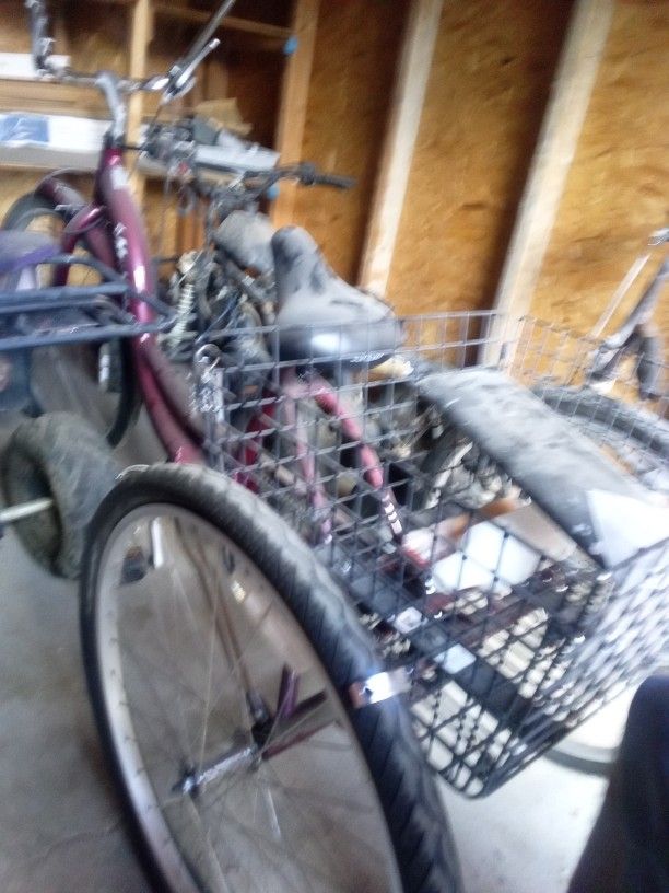 Schwinn Tricycle
