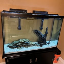 Fish Tank W/ Stand 110 Gallon