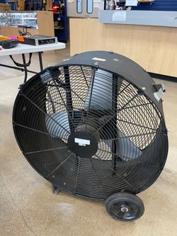Fan