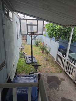 Basketball court