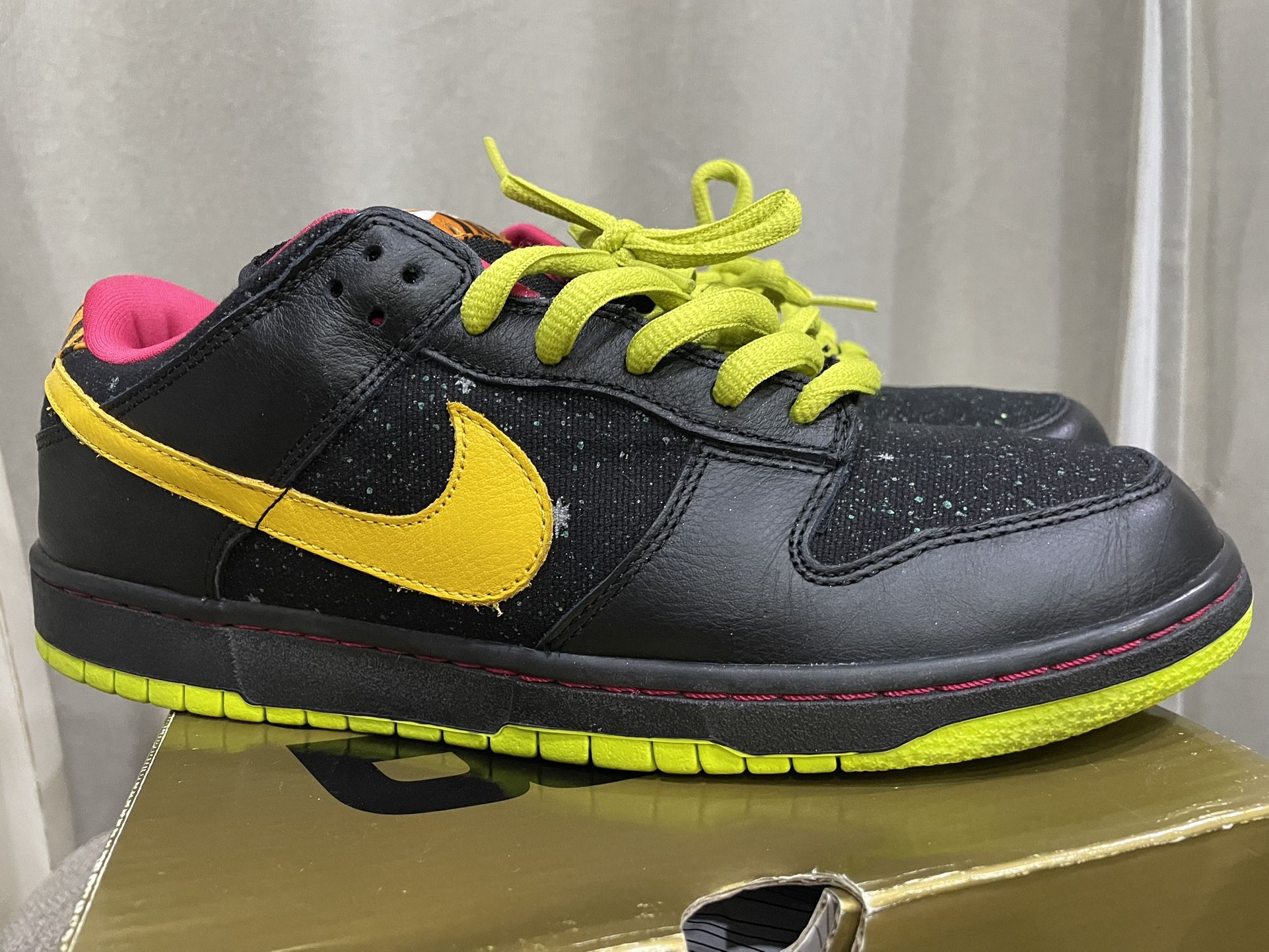 Size 11 Nike SB “Space Tiger”