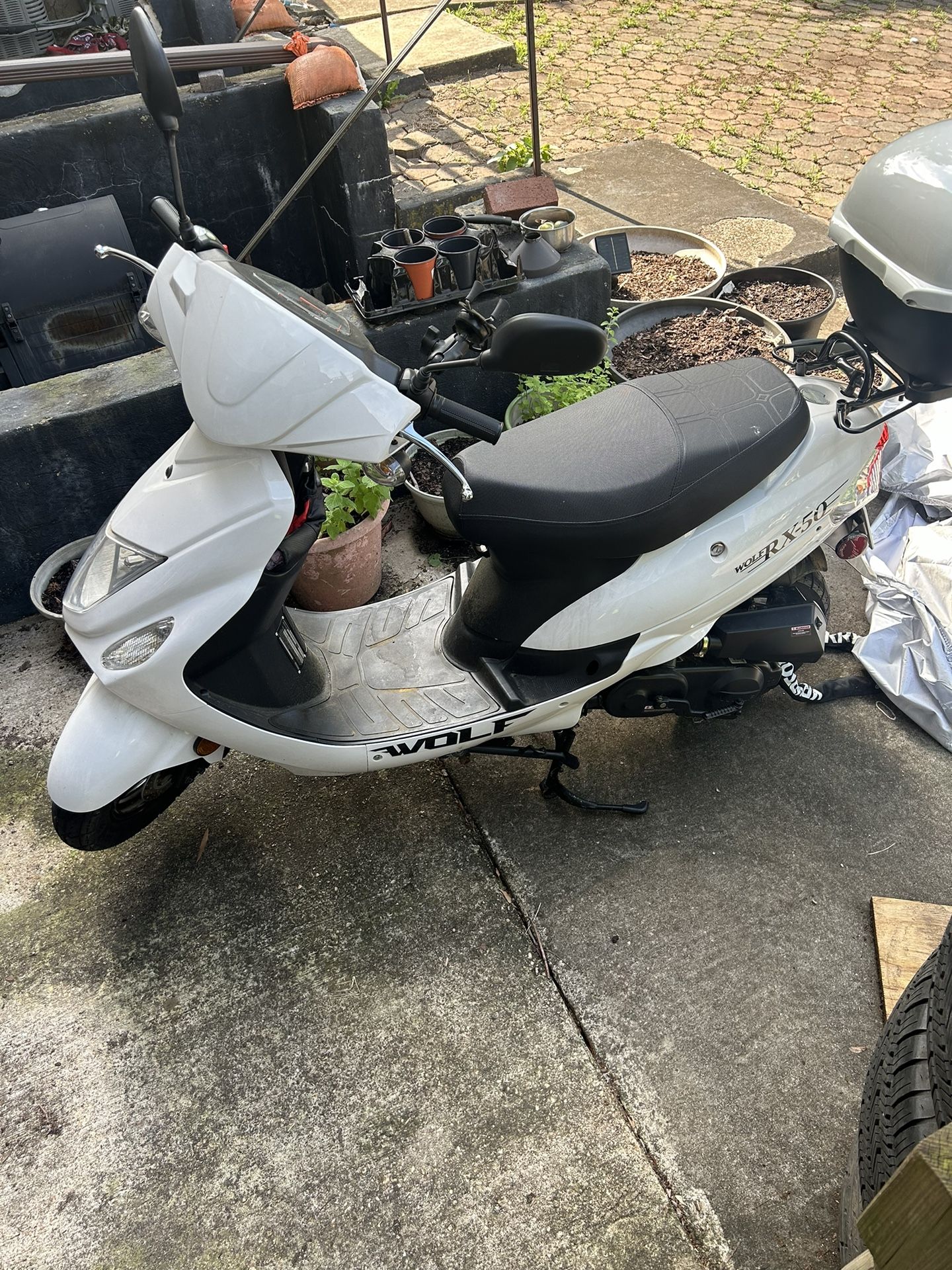 Wolf RX50