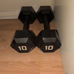 10 lb Dumbbells 