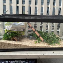 Reptile Enclosure 