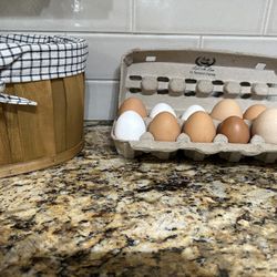 Fresh Eggs 