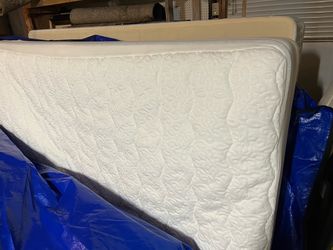 FREE Queen Size Mattress — Great Condition (Box Spring included)