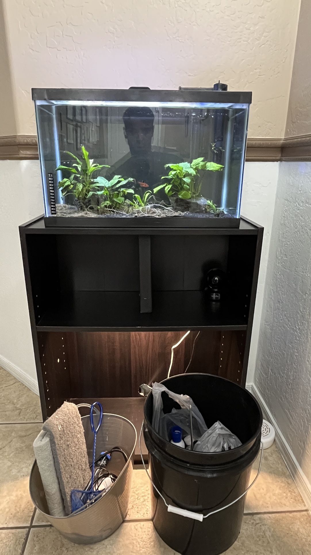 10 Gallon Aquarium OBO