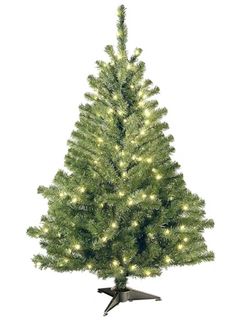 4 ft. Pre-Lit Fir Pencil Slim Hinged Tree with Clear Lights, Plug-in National tree Co 458 G 94335
