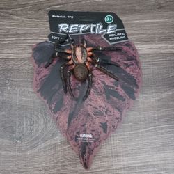 Realistic Arachnid Spider Toy