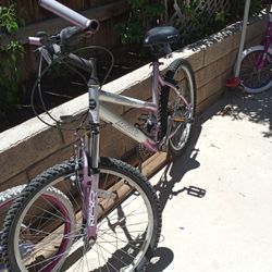Magna 24" Shimano Bike 🚲