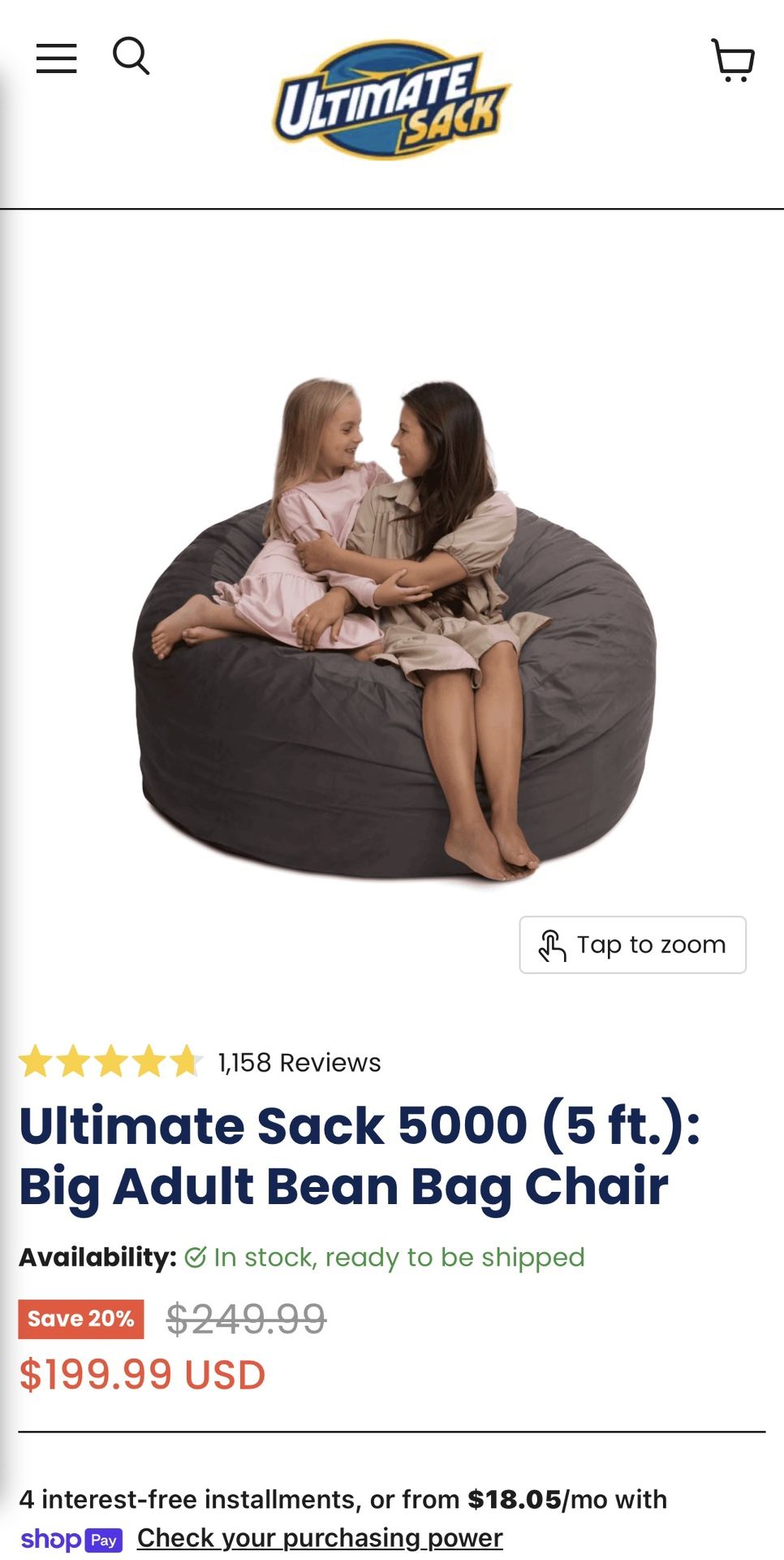 5 Ft Bean Bag