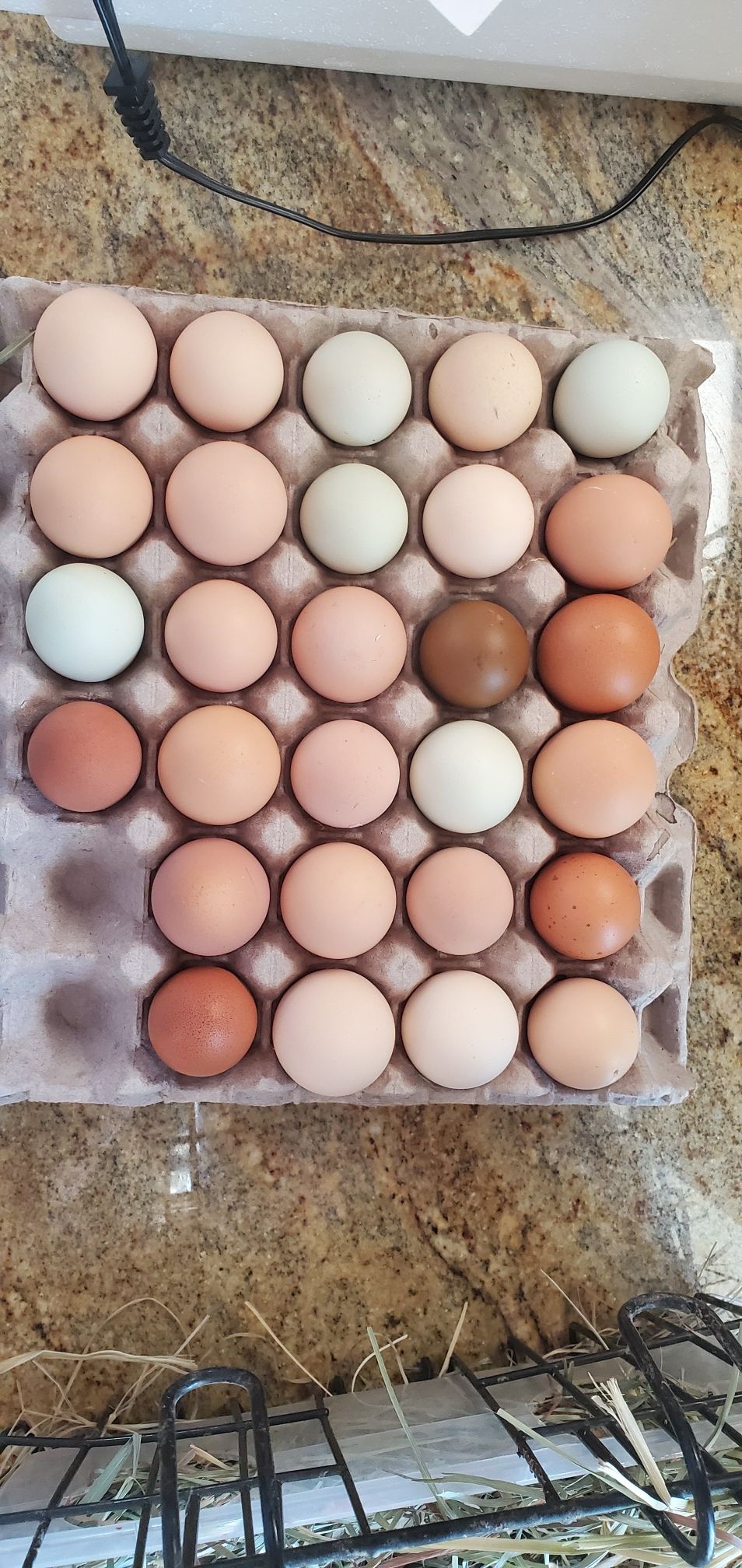 1.50 ea Fertilized hatching eggs for Sale in Wildomar, CA OfferUp