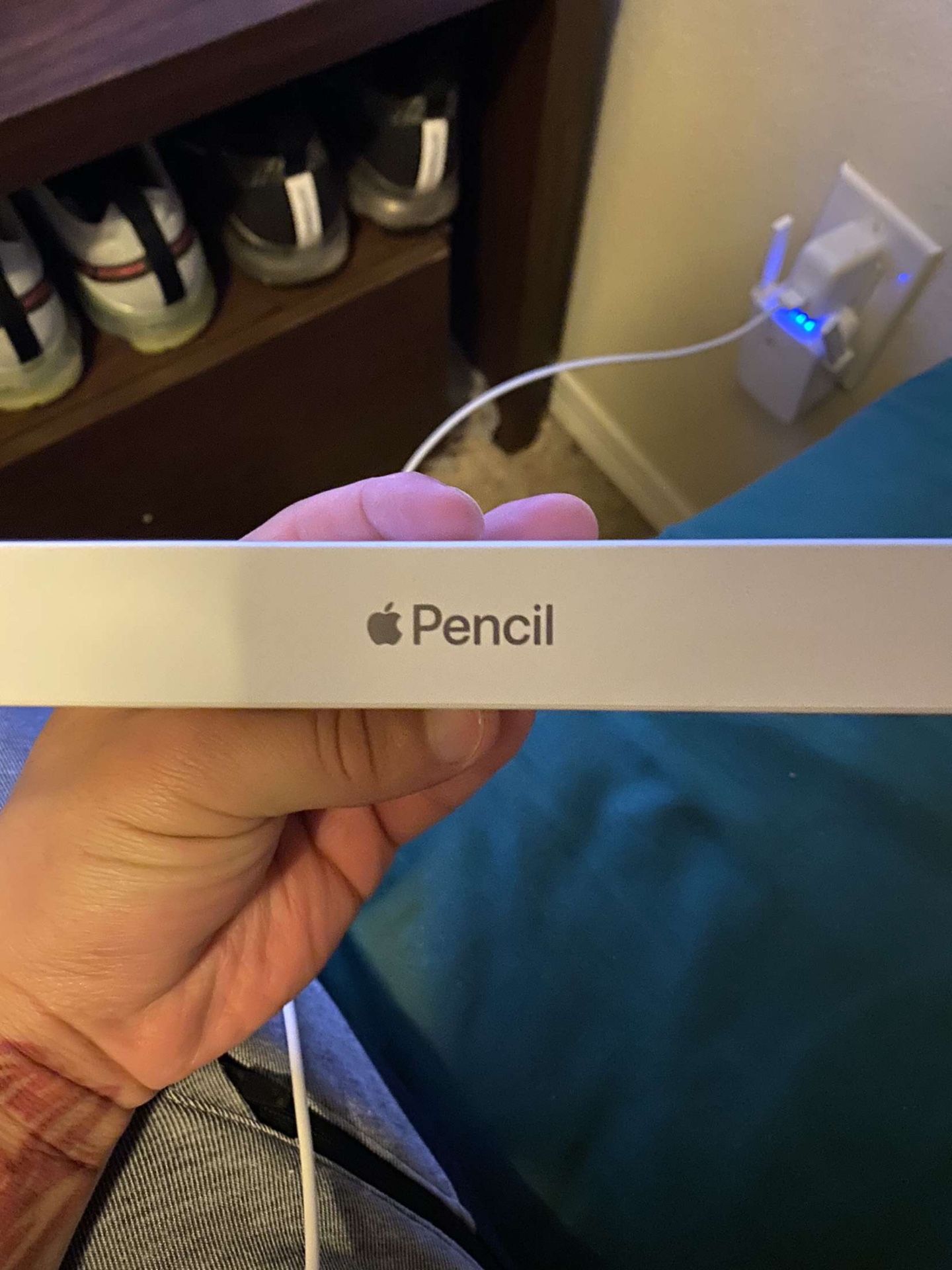 Apple Stylus Pen