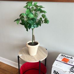 Faux Mini Tree