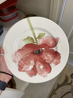 Plates (21 count)