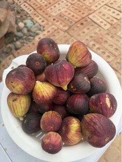 Fresh figs