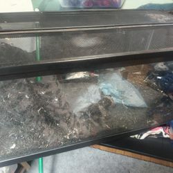 Tanks Tank Tanks And Reptile Supplies 