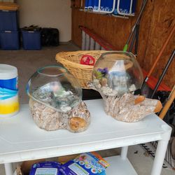 Decorative Fish Bowls
