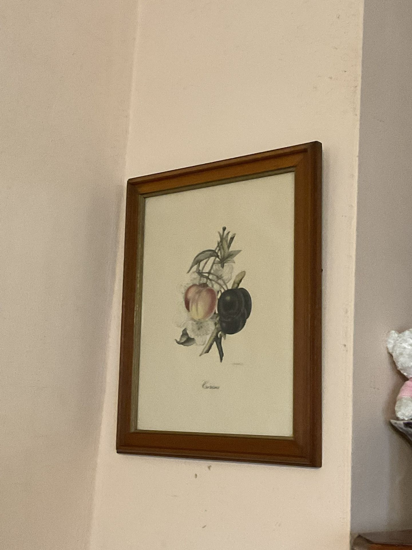 Beautiful  Lithograph In Good Condition Antique Please Check My Other Offers 