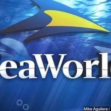 🐬🎡 $25 SEAWORLD + SESAME PLACE! 🎡🐬🎟️ 💲25 EACH 