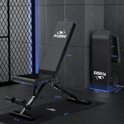 FLYBIRD Multifunctional Dumbbell Bench FB-17YLD02