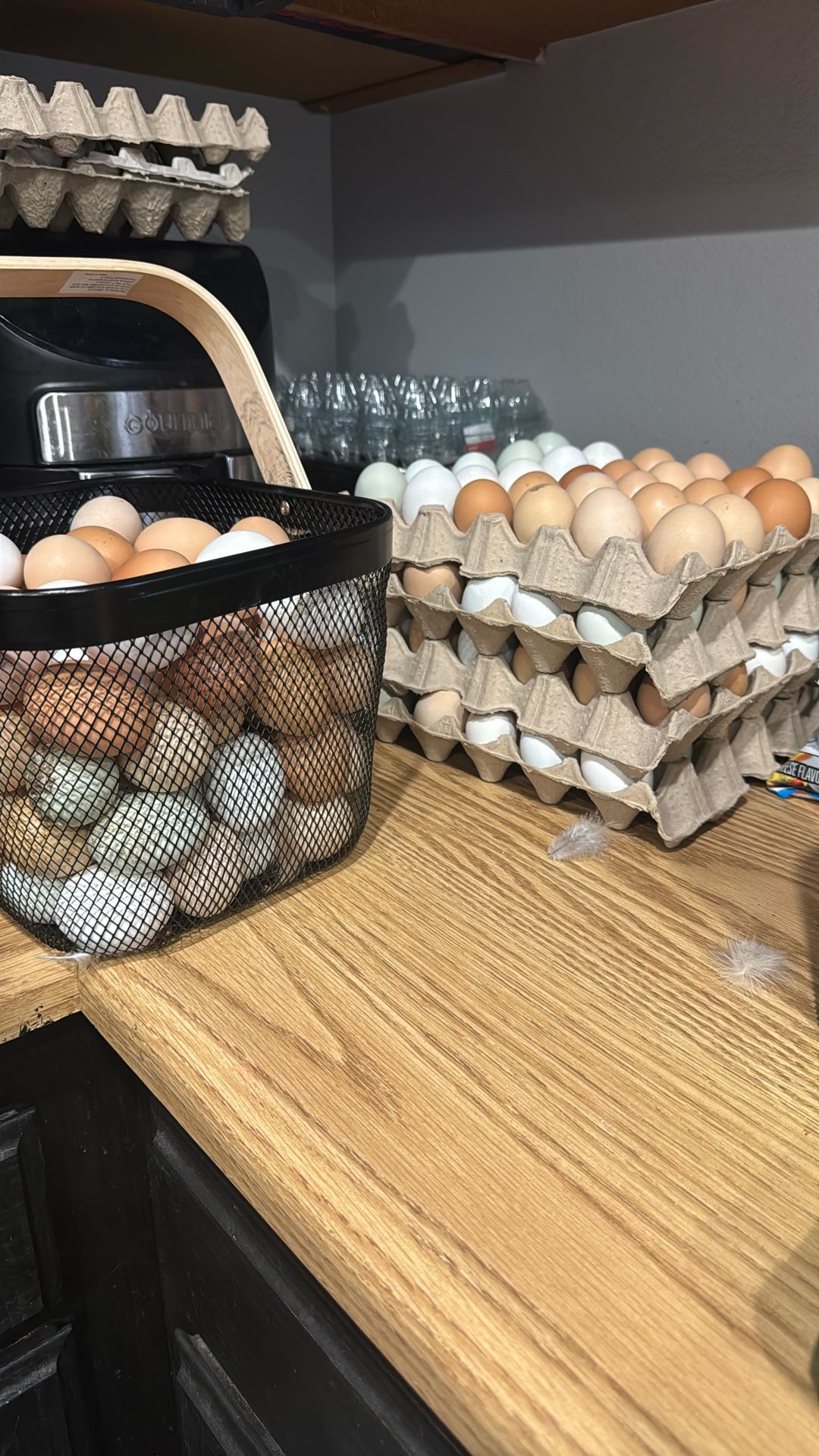 Fresh Eggs