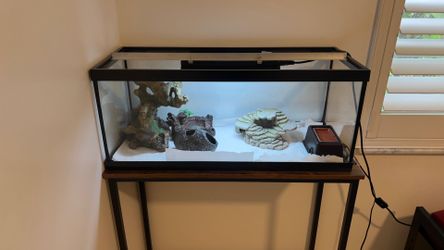 Reptile terrarium