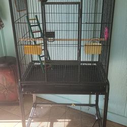Bird Cage 