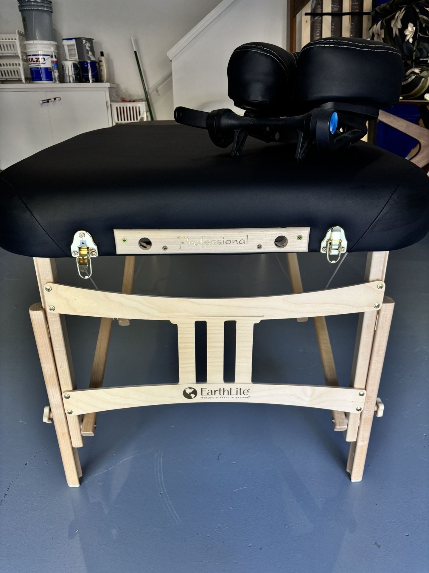 Professional Earth Lite Massage Table + 1 Set Of Sheets.