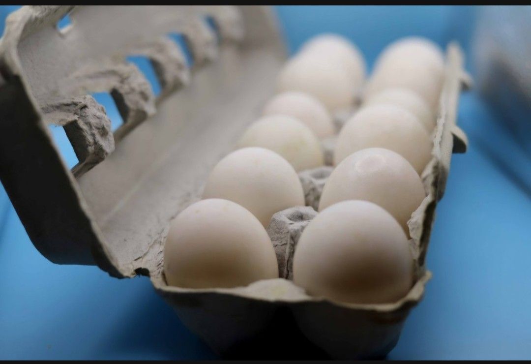 Duck Eggs