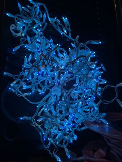 Icicle Lights Blue Light Seven Dollars Per Strand White Wire