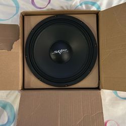 10in Skar Speaker