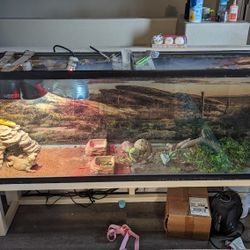 Aquarium / Terrarium Fish Tank 100 Gallons