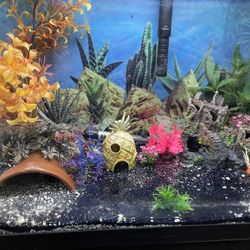 Fish Tank