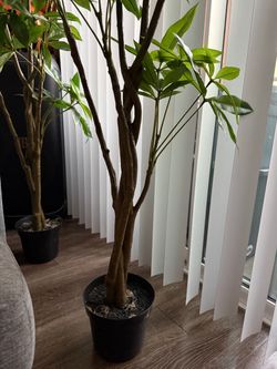 Artificial Money Tree in Black Pot